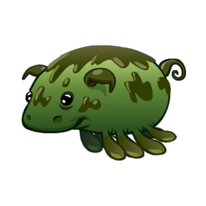 Swamp Sea Pig